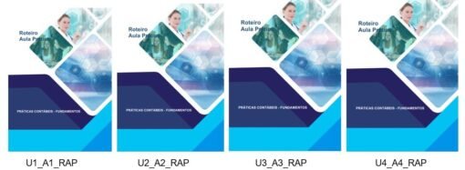 Relatório de Aula Prática Práticas Contábeis Fundamentos