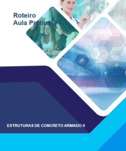 Aula Prática Estruturas de Concreto Armado II