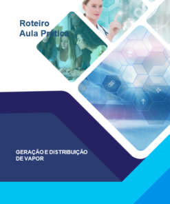 Aula Prática – Geração e Distribuição de Vapor